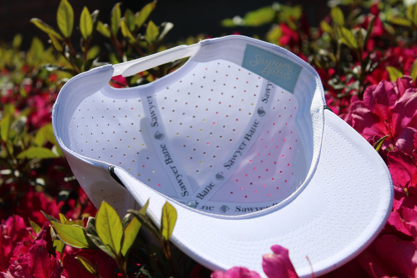 Allen's Hat